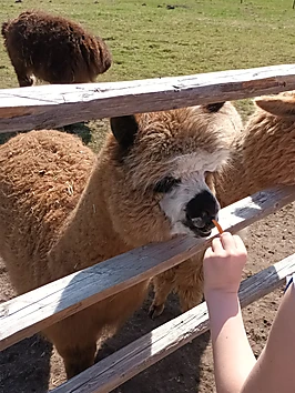 Zoo darbalaiks vasarā