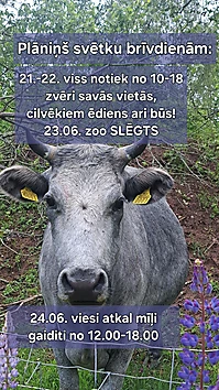 Jāņu laiks klāt!