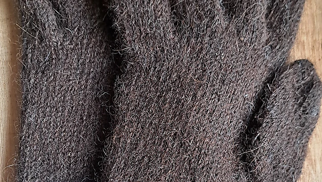 Brūni vīriešu pirkstaiņi