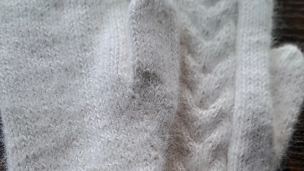 Baltie, mīkstie pūciņdūraiņi