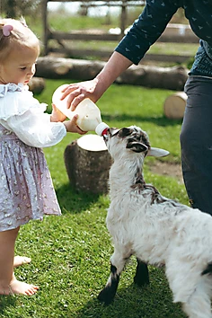 ZOO uzņem viesus!!