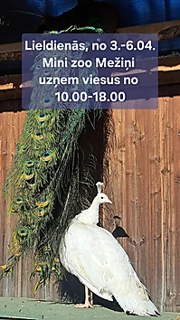 Lieldienu brivdienās gaidam vieus!
